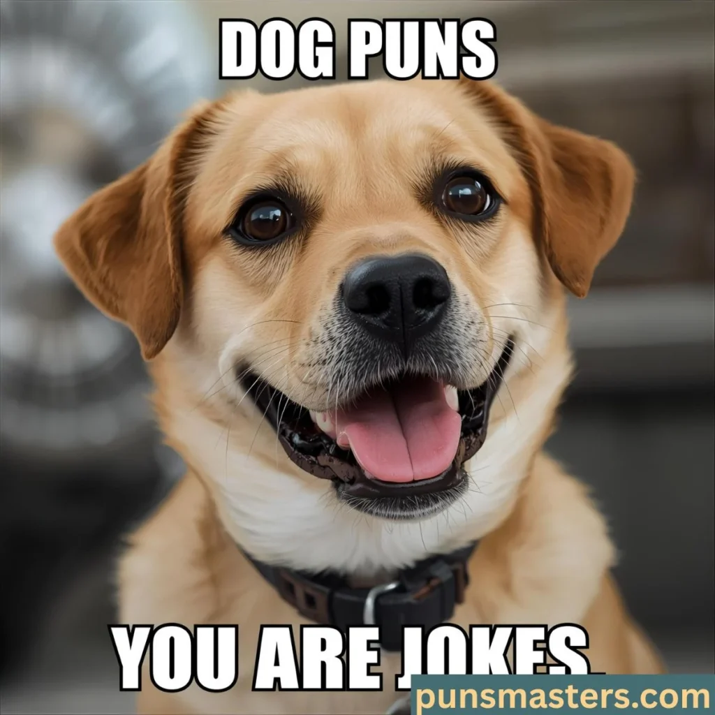 Dog Puns and Jokes