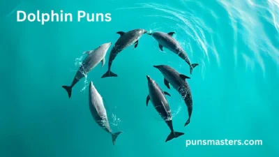 Dolphin Puns
